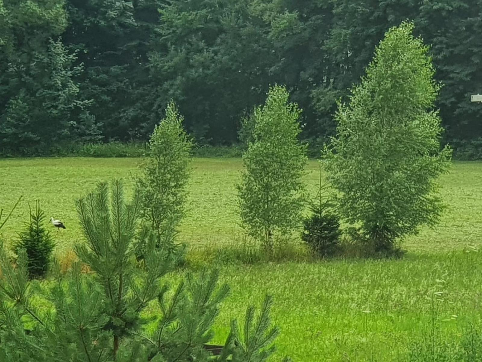فيلا Wellness-Beskydy Prostřední Bečva المظهر الخارجي الصورة